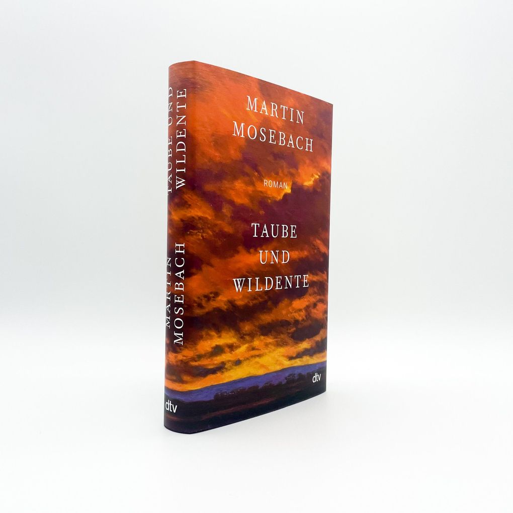 Weitere Ansicht: Taube und Wildente | Martin Mosebach