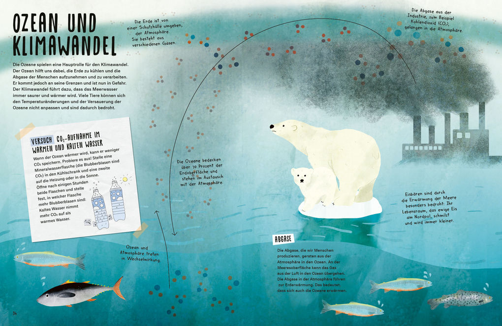 Weitere Ansicht: My Ocean Challenge - Kurs auf Klimaschutz - Was unsere Ozeane jetzt brauchen und was du dazu beitragen kannst | Birte Lorenzen-Herrmann, Boris Herrmann