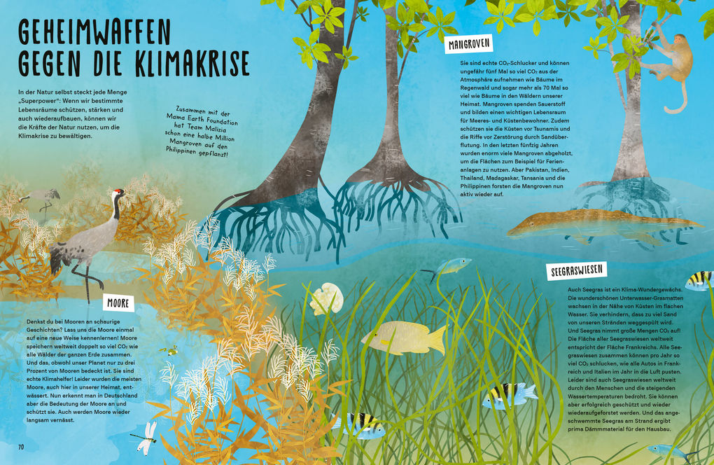 Weitere Ansicht: My Ocean Challenge - Kurs auf Klimaschutz - Was unsere Ozeane jetzt brauchen und was du dazu beitragen kannst | Birte Lorenzen-Herrmann, Boris Herrmann