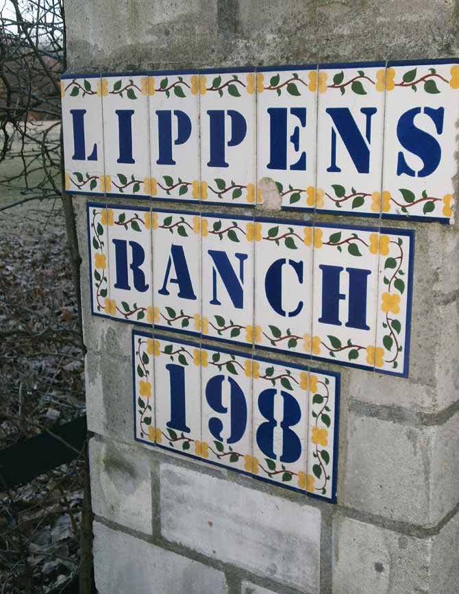 Weitere Ansicht: Fußball - eine Deutschlandreise | Sascha Kurzrock