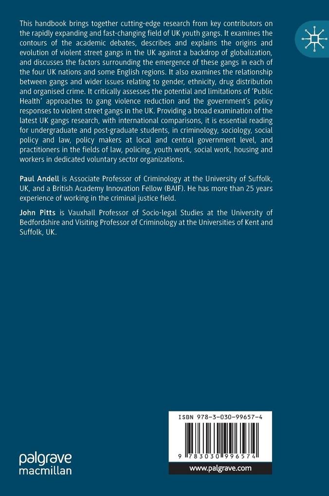 Weitere Ansicht: The Palgrave Handbook of Youth Gangs in the UK