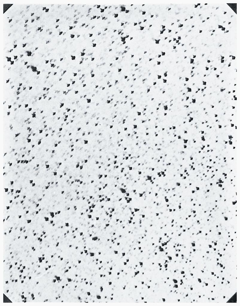 Produktbild: By Means of the Sun | Andrea Ferrari