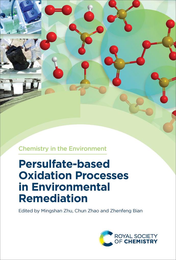Produktbild: Persulfate-based Oxidation Processes in Environmental Remediation