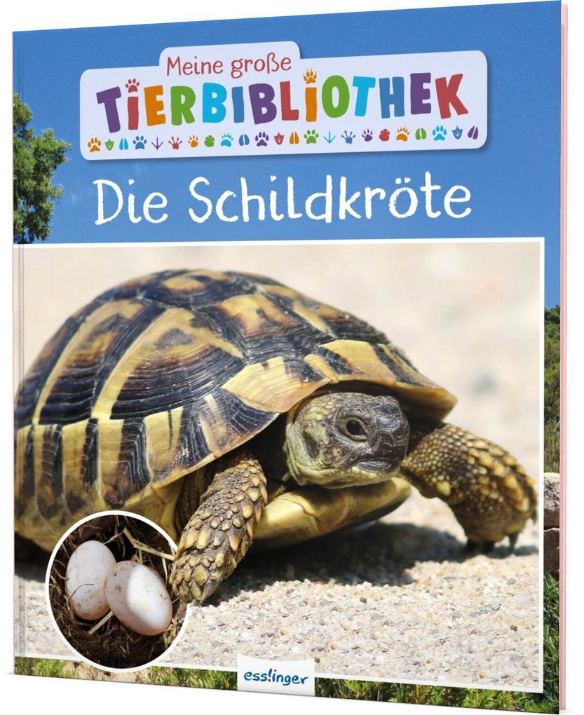 Produktbild: Meine große Tierbibliothek: Die Schildkröte | Axel Gutjahr
