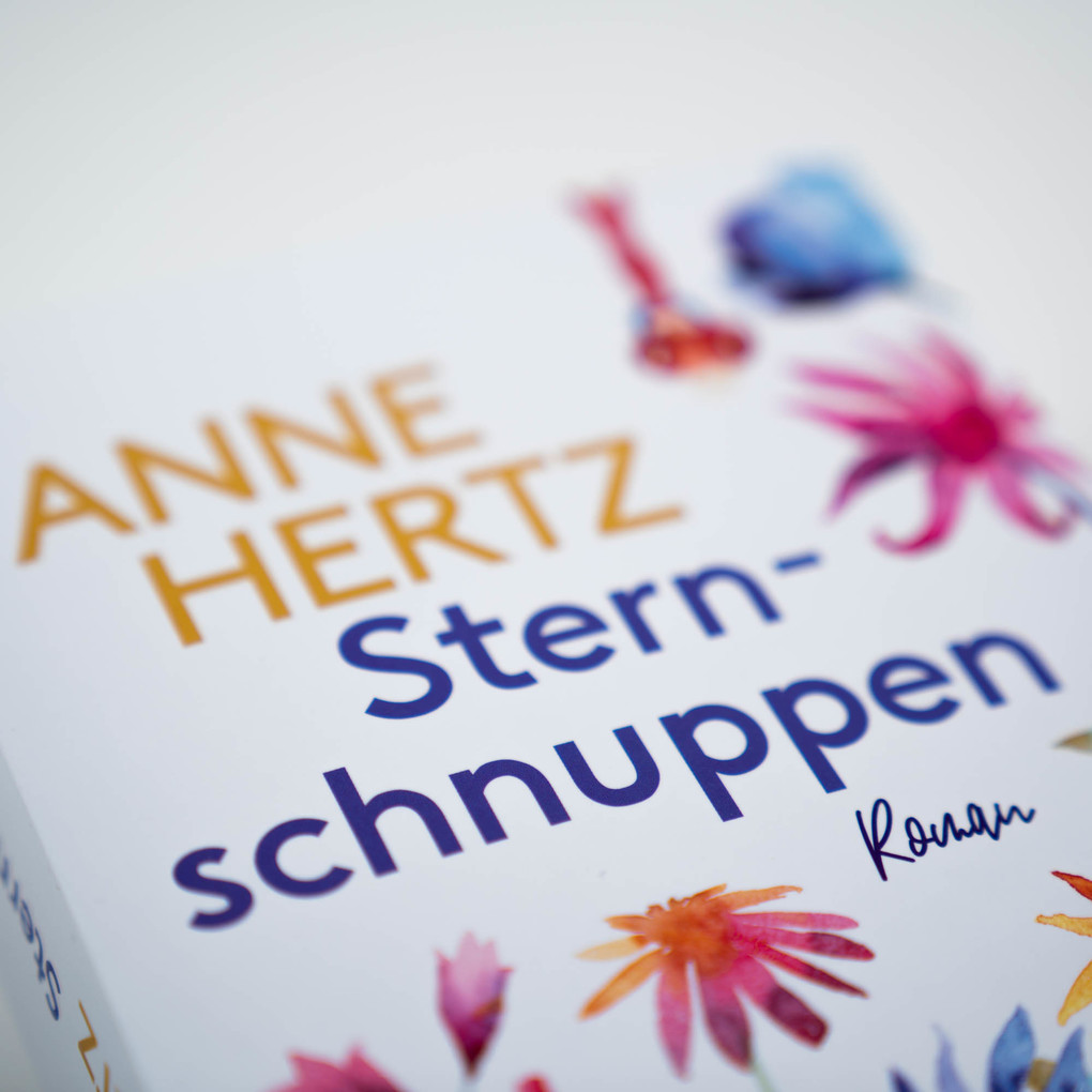 Weitere Ansicht: Sternschnuppen | Anne Hertz