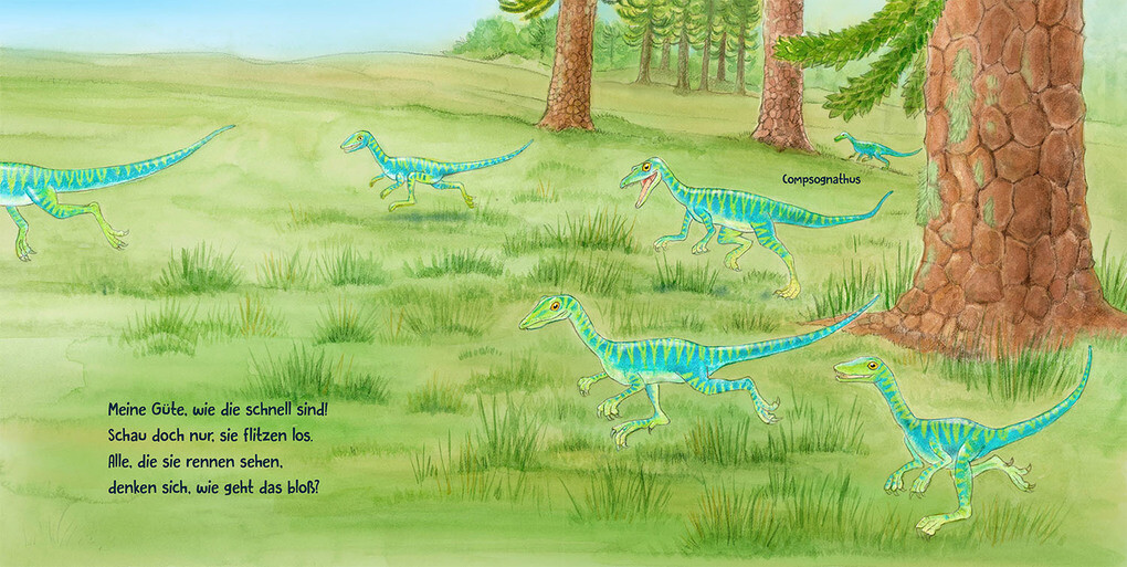 Weitere Ansicht: Guck mal die Dinosaurier | Lisa Apfelbacher, Regina Schwarz