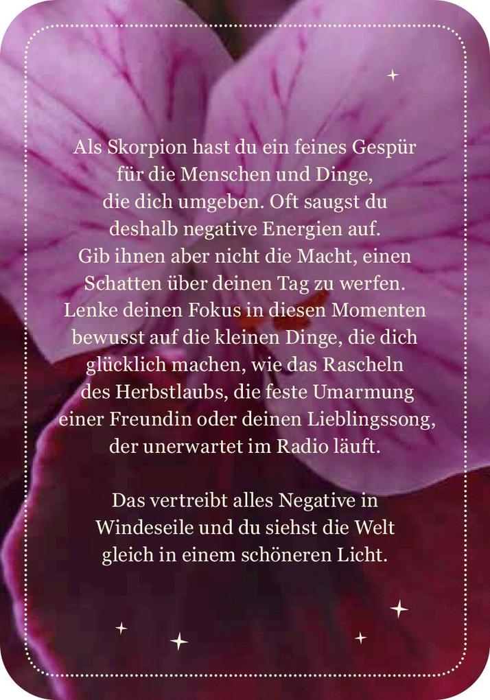 Weitere Ansicht: Achtsamkeit für den Skorpion
