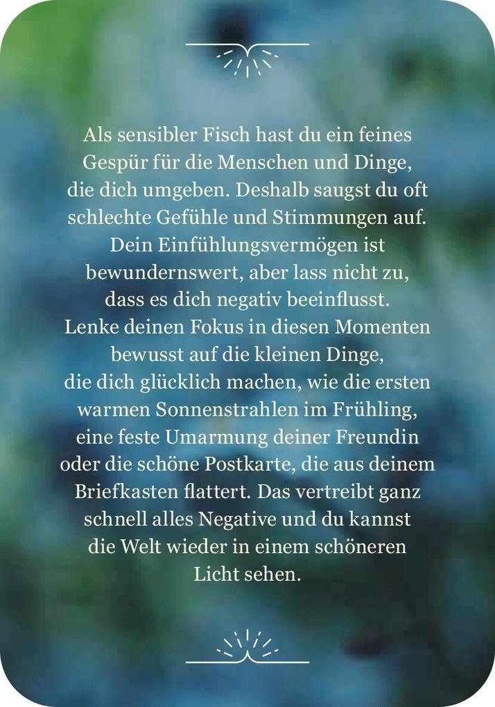 Weitere Ansicht: Achtsamkeit für die Fische