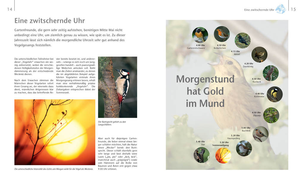 Weitere Ansicht: Vögel zu Gast im Garten - Beobachten, bestimmen, schützen. | Axel Gutjahr