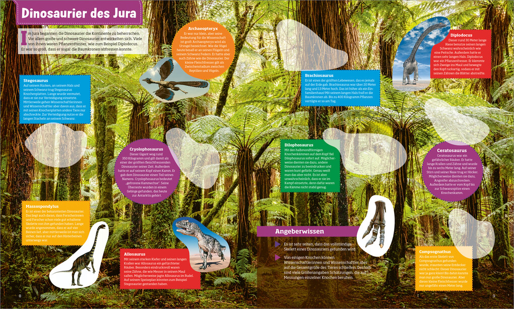 Weitere Ansicht: WAS IST WAS Stickerheft Dinosaurier | Lisa Herden