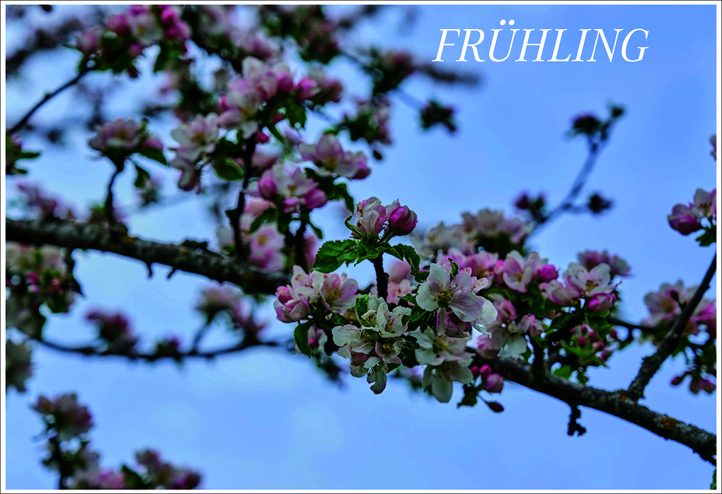 Weitere Ansicht: Scheunenwirtin | Ursula Heinzelmann