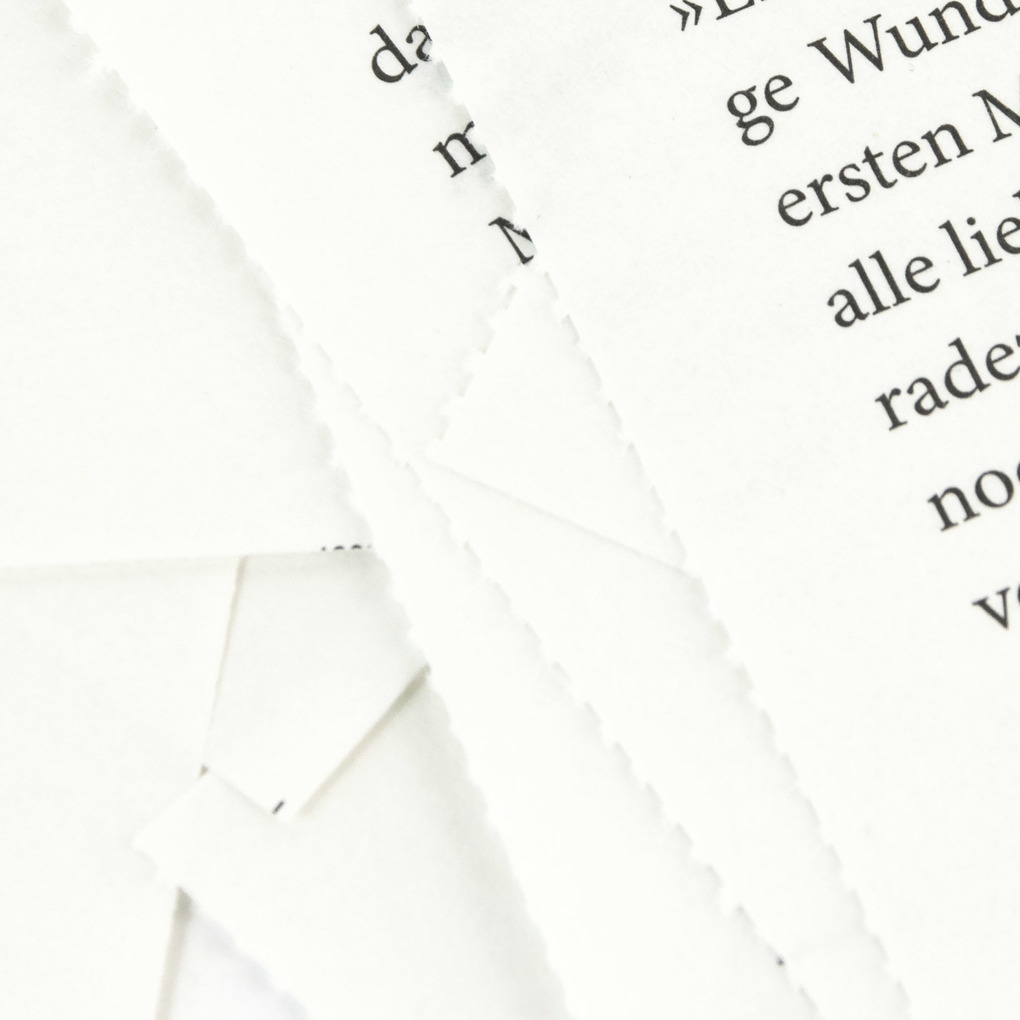 Weitere Ansicht: Kains Knochen | Torquemada