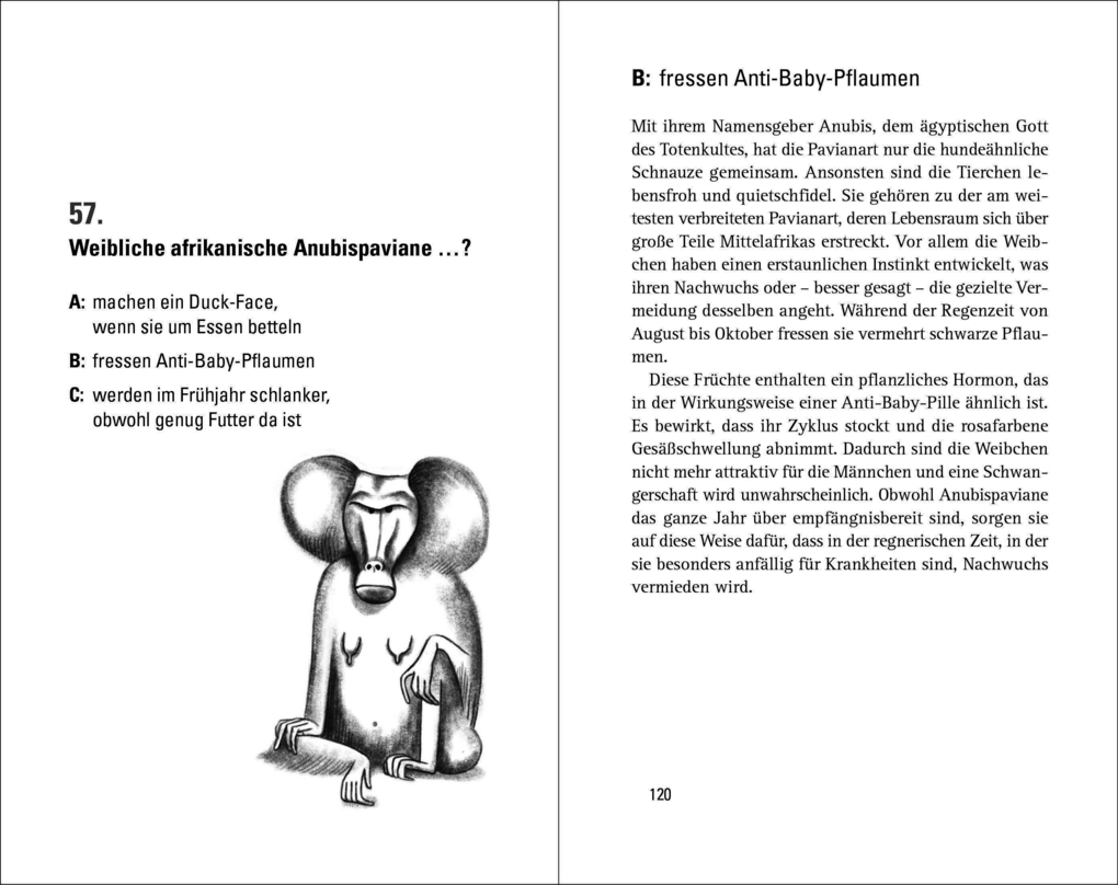 Weitere Ansicht: Wer weiß denn sowas? 5