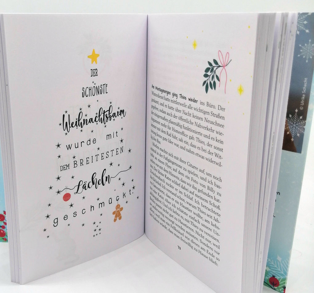 Weitere Ansicht: Sterne glitzern auch im Schnee | Meike Werkmeister