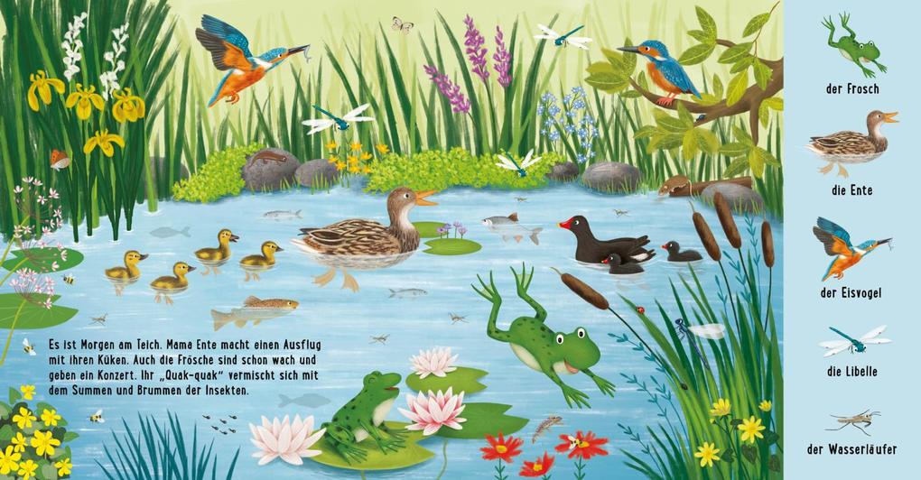 Weitere Ansicht: Mein erstes Natur-Wimmelbuch: Tiere am Wasser | Sibylle Schumann