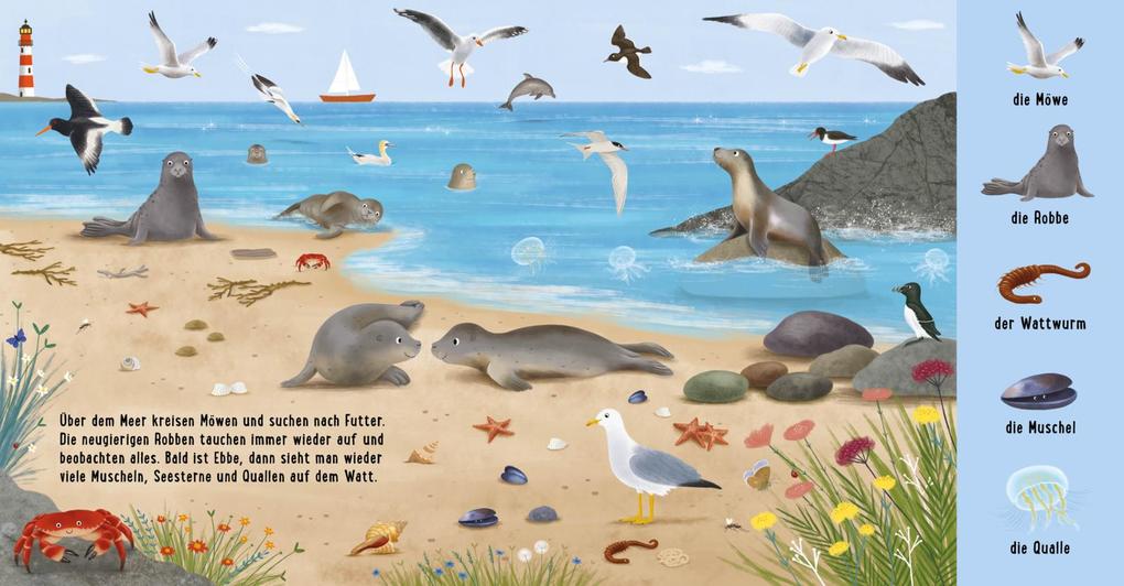 Weitere Ansicht: Mein erstes Natur-Wimmelbuch: Tiere am Wasser | Sibylle Schumann