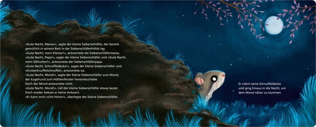 Weitere Ansicht: Der kleine Siebenschläfer 6: Die Geschichte vom kleinen Siebenschläfer, der dem Mond Gute Nacht sagen wollte | Sabine Bohlmann