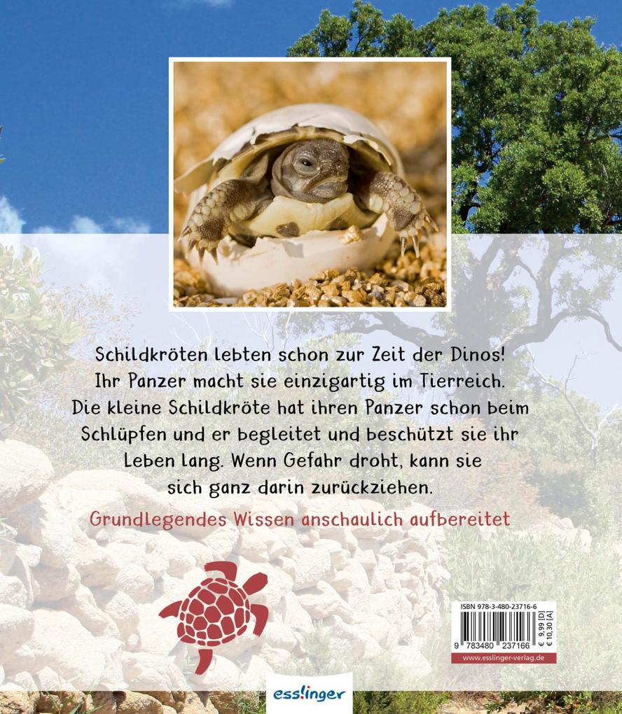 Weitere Ansicht: Meine große Tierbibliothek: Die Schildkröte | Axel Gutjahr