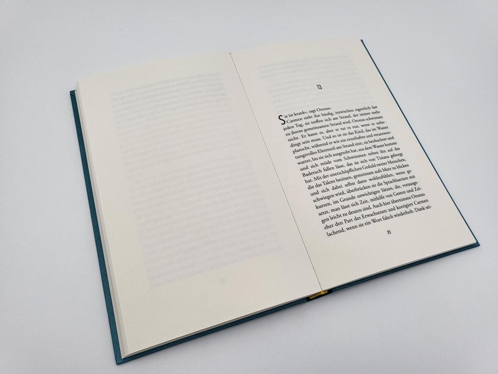 Weitere Ansicht: Monterosso mon amour | Ilja Leonard Pfeijffer