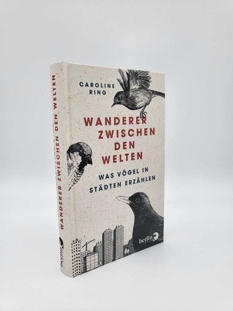 Weitere Ansicht: Wanderer zwischen den Welten | Caroline Ring