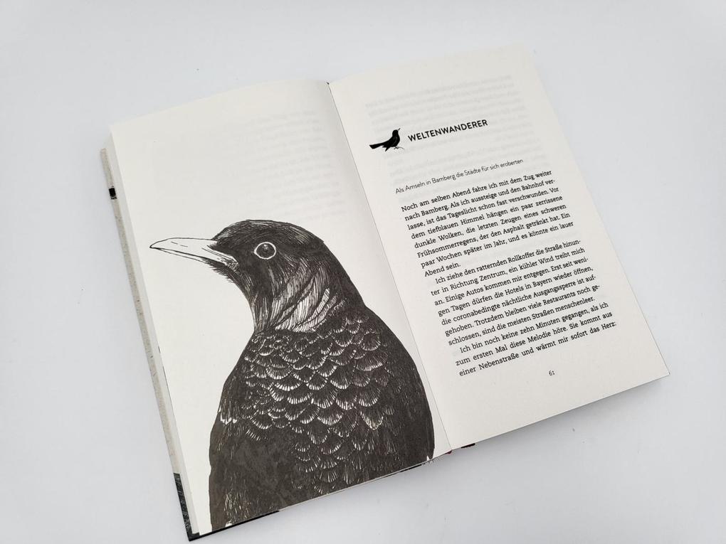 Weitere Ansicht: Wanderer zwischen den Welten | Caroline Ring