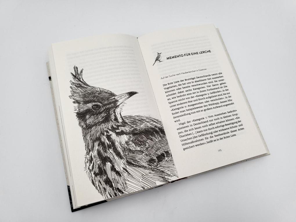 Weitere Ansicht: Wanderer zwischen den Welten | Caroline Ring