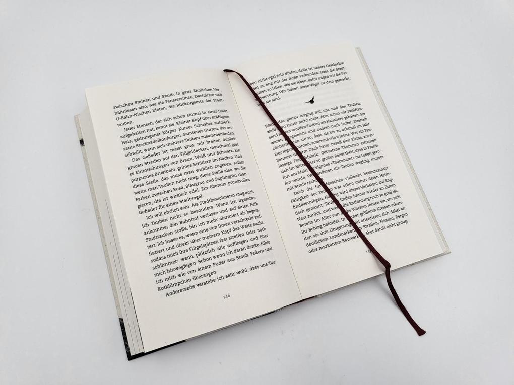 Weitere Ansicht: Wanderer zwischen den Welten | Caroline Ring