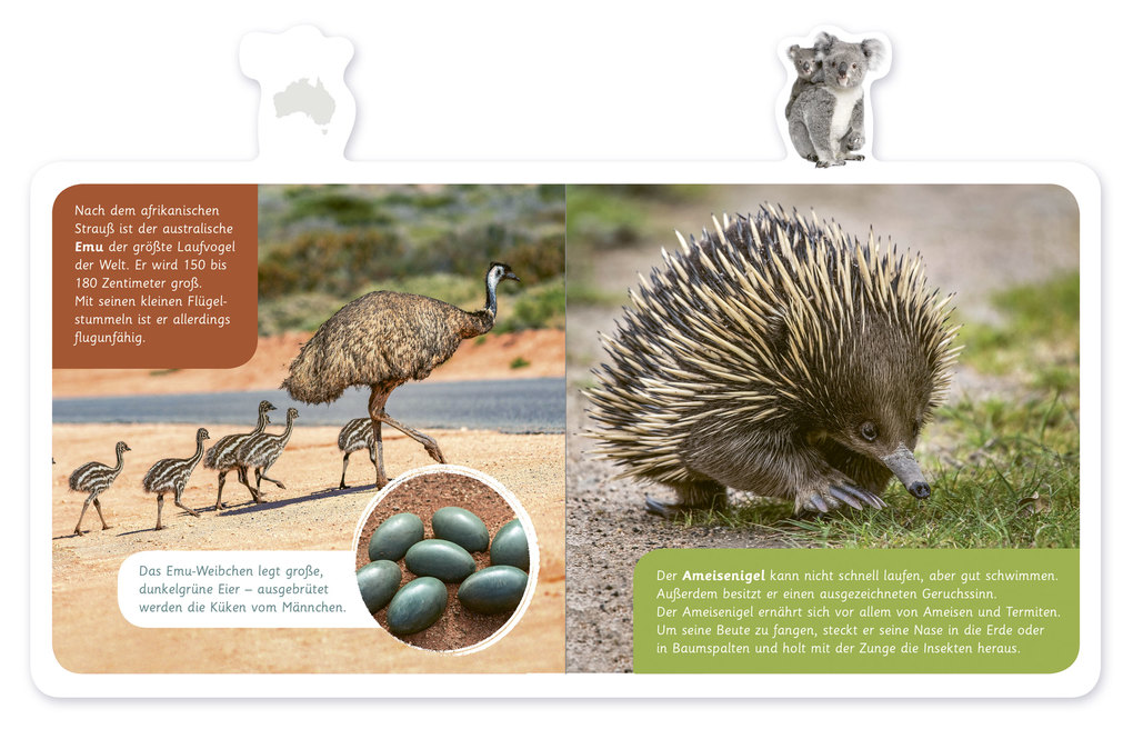 Weitere Ansicht: Tiere in Australien