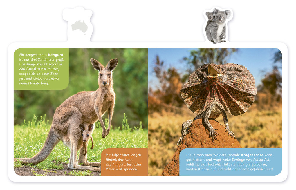 Weitere Ansicht: Tiere in Australien