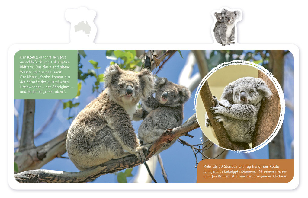 Weitere Ansicht: Tiere in Australien