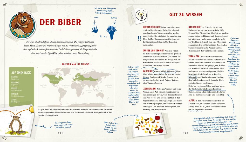 Weitere Ansicht: Die Schule der magischen Tiere: Mister Morrisons gesammeltes Tierwissen | Martin Verg, Margit Auer