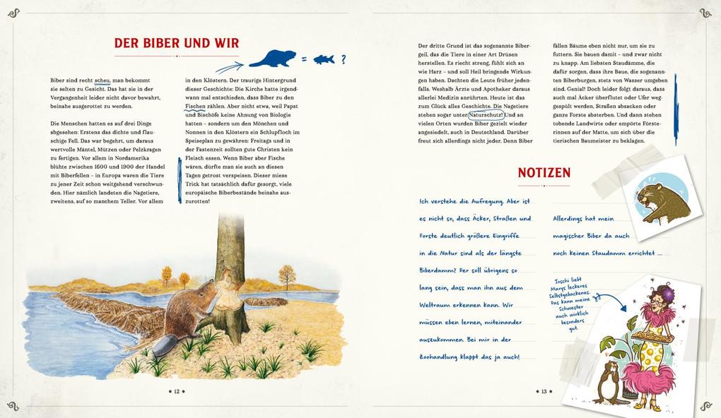 Weitere Ansicht: Die Schule der magischen Tiere: Mister Morrisons gesammeltes Tierwissen | Martin Verg, Margit Auer