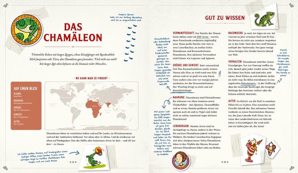 Weitere Ansicht: Die Schule der magischen Tiere: Mister Morrisons gesammeltes Tierwissen | Martin Verg, Margit Auer
