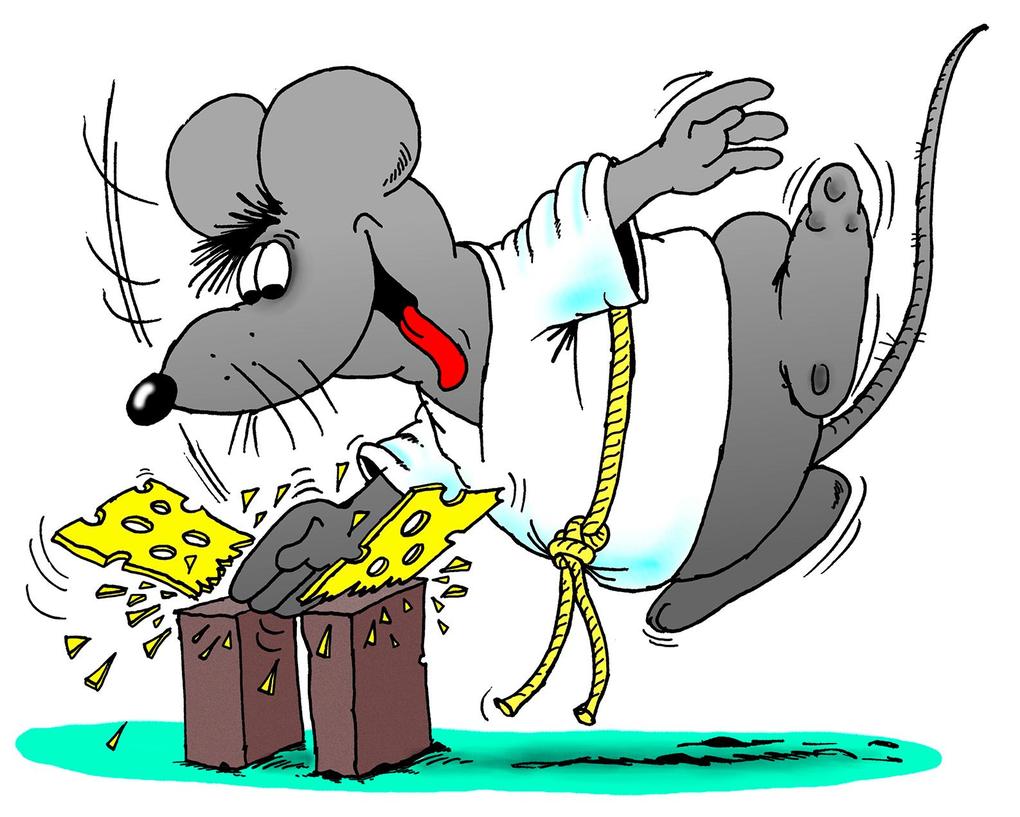 Weitere Ansicht: Uli Stein für Tierfreunde: Mäuse! | Uli Stein