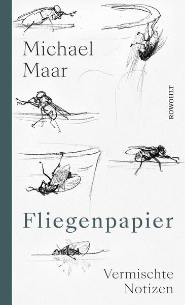 Produktbild: Fliegenpapier | Michael Maar