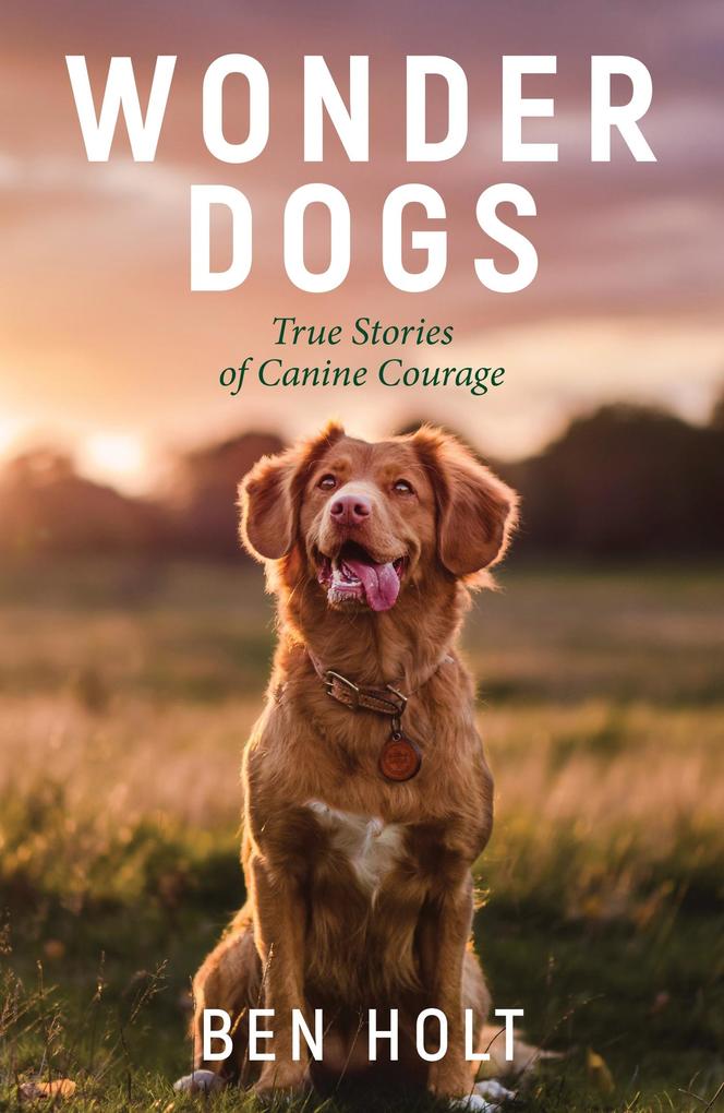 Produktbild: Wonder Dogs | Ben Holt