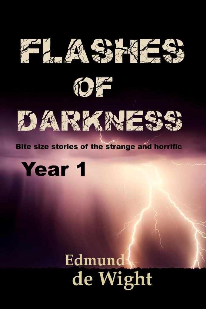 Flashes of Darkness Year 1 als eBook epub