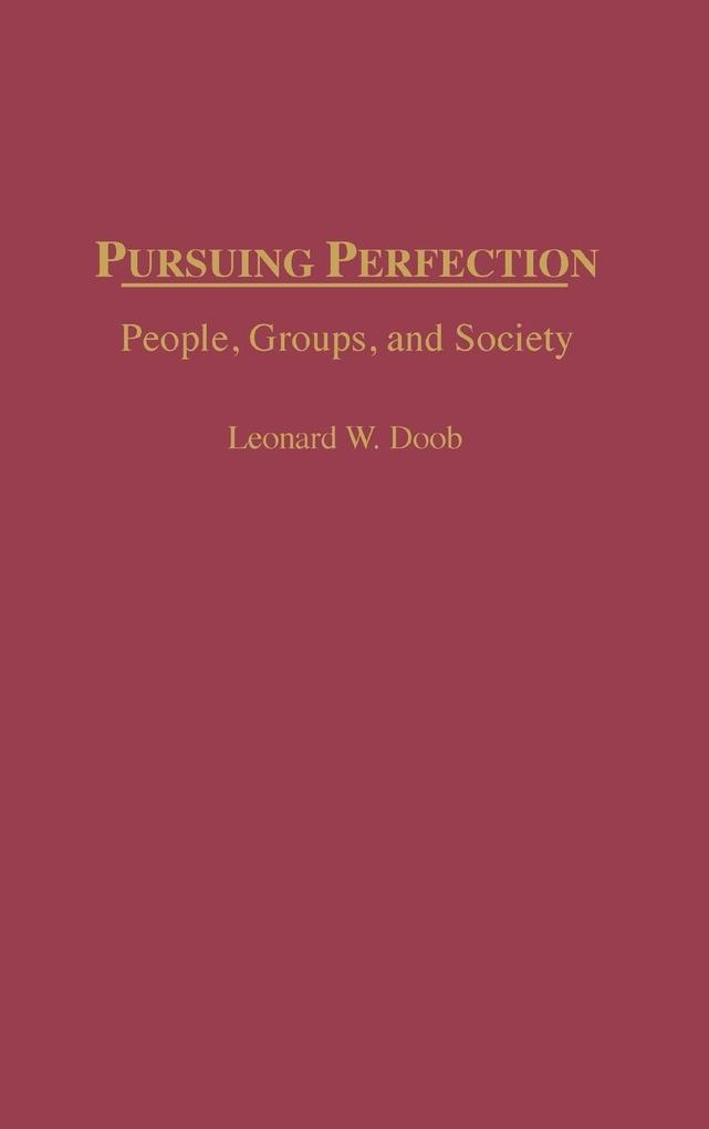 Pursuing Perfection als Buch (gebunden)