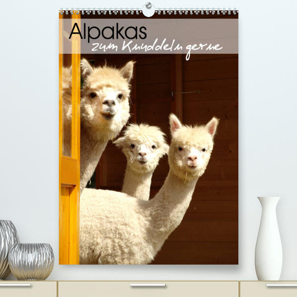 Alpakas zum Knuddeln gerne (Premium, hochwertiger DIN A2 Wandkalender 2023, Kunstdruck in Hochglanz) als Kalender