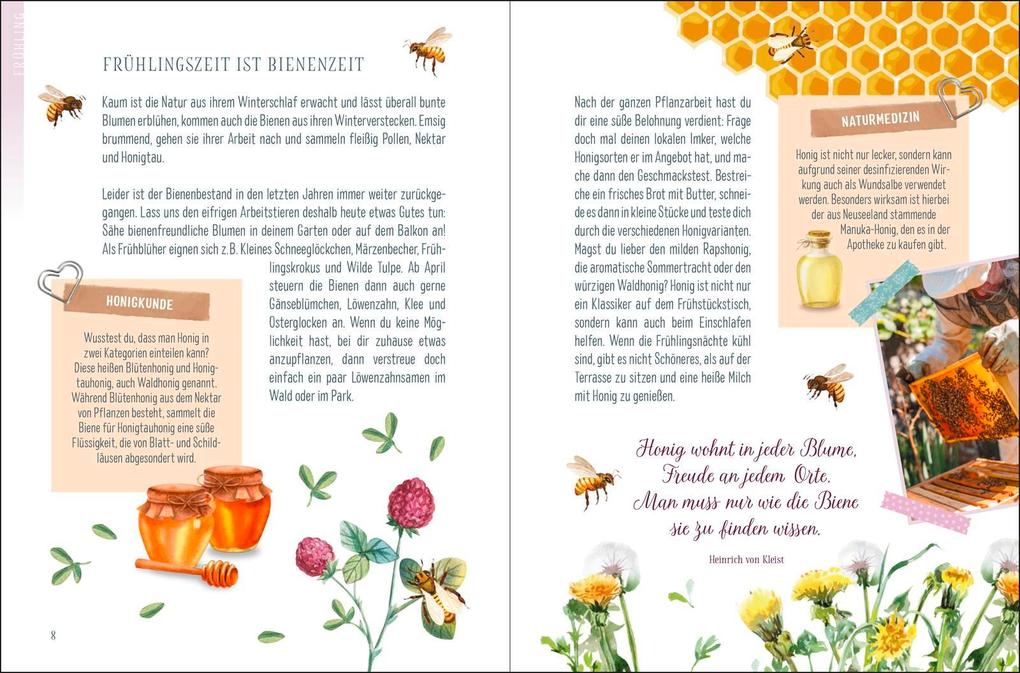 Weitere Ansicht: Die vier Gute-Laune-Zeiten