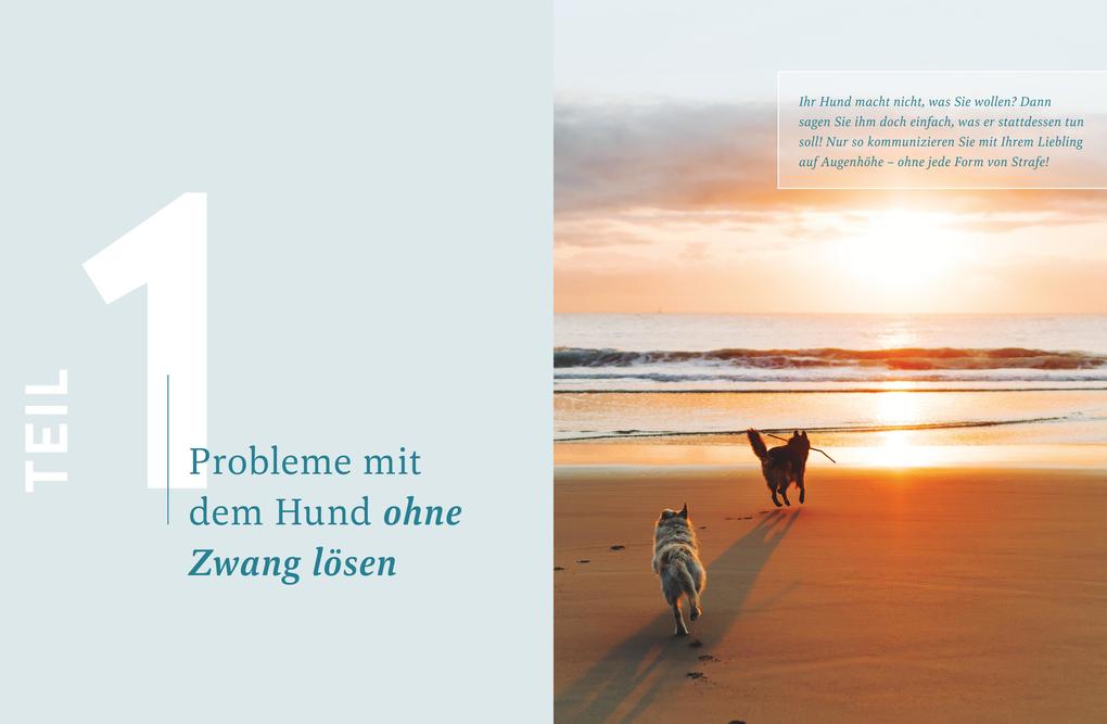 Weitere Ansicht: Hilfe, mein Hund macht, was er will! | André Henkelmann