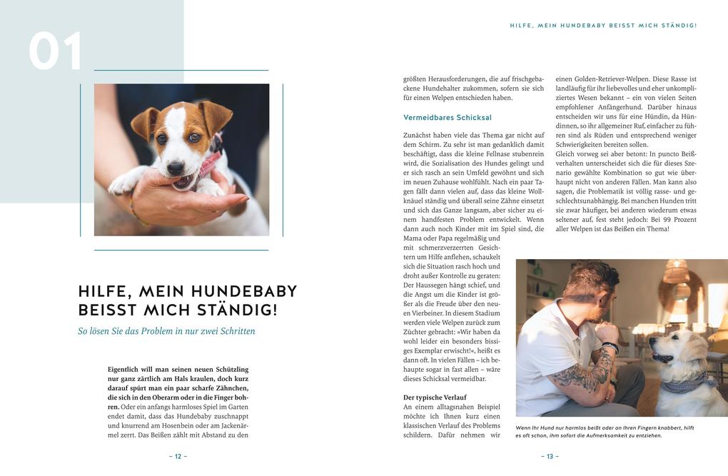 Weitere Ansicht: Hilfe, mein Hund macht, was er will! | André Henkelmann