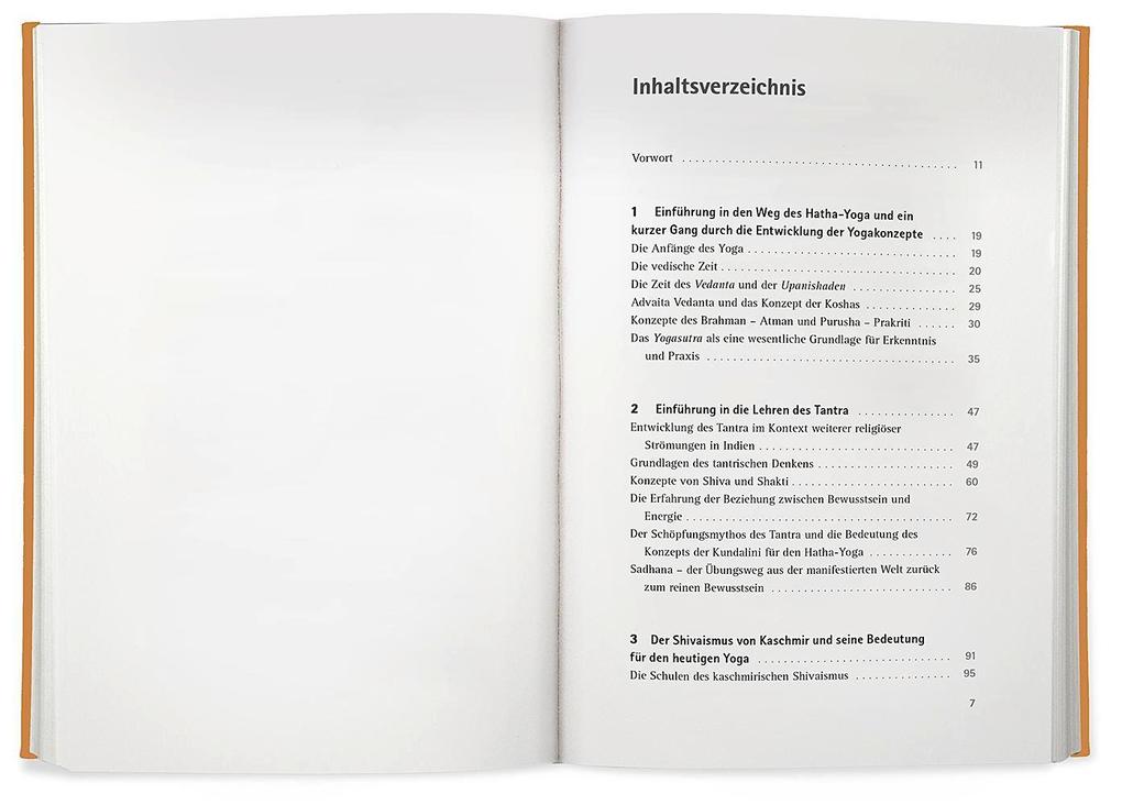 Weitere Ansicht: Yoga der Energie | Anna Trökes