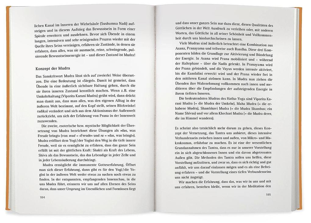 Weitere Ansicht: Yoga der Energie | Anna Trökes