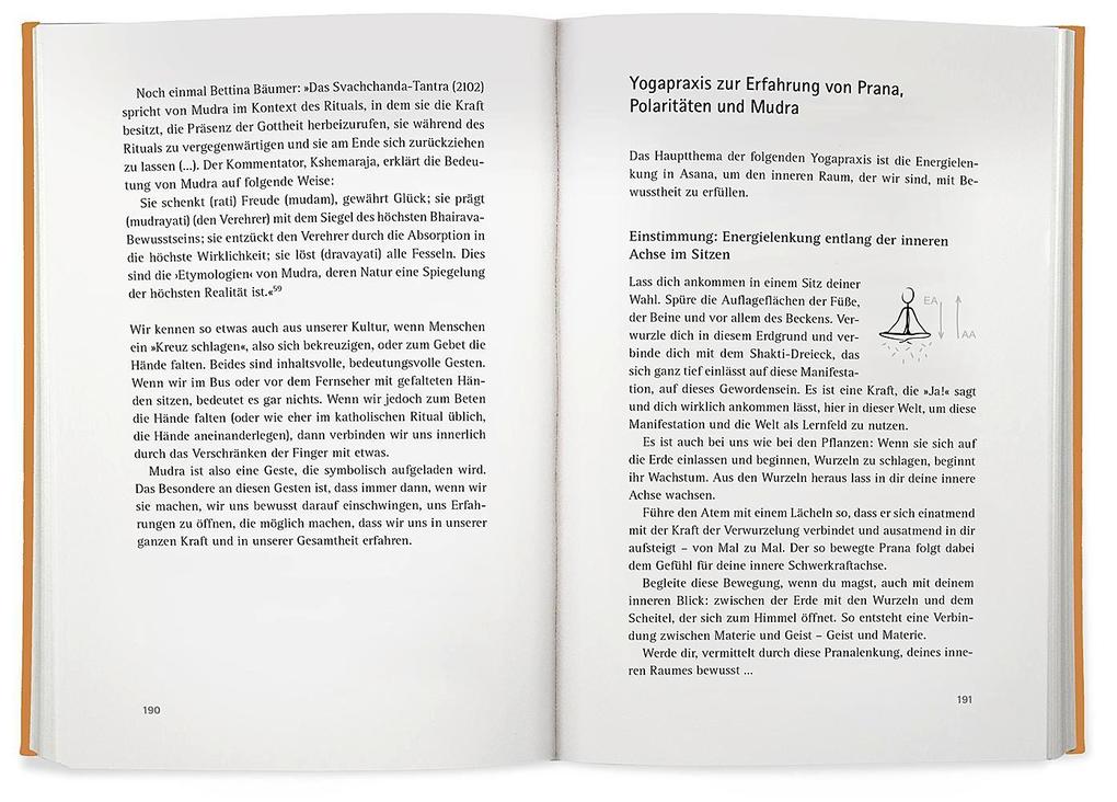 Weitere Ansicht: Yoga der Energie | Anna Trökes