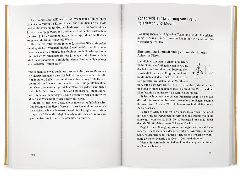 Weitere Ansicht: Yoga der Energie | Anna Trökes