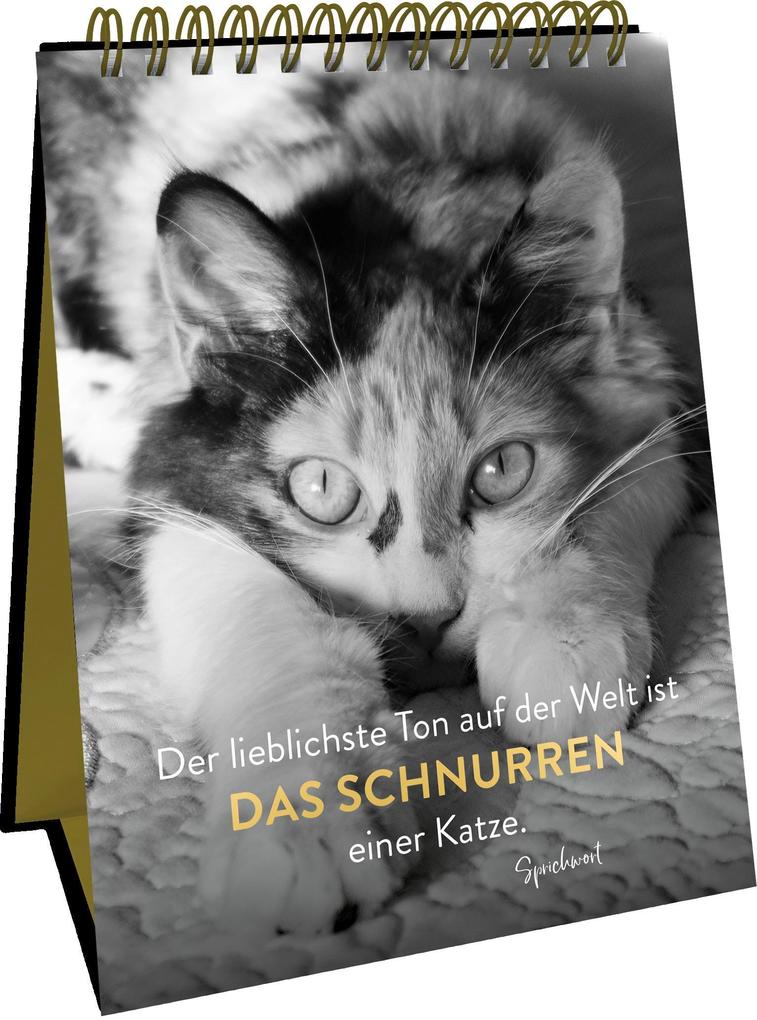 Weitere Ansicht: Goldene Katzenweisheiten