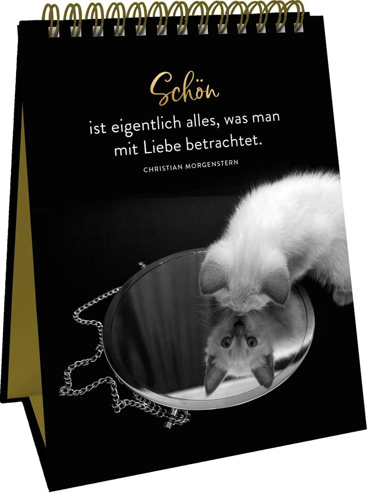 Weitere Ansicht: Goldene Katzenweisheiten