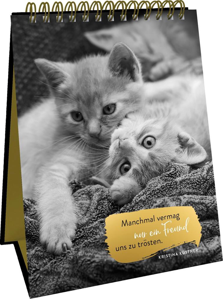 Weitere Ansicht: Goldene Katzenweisheiten