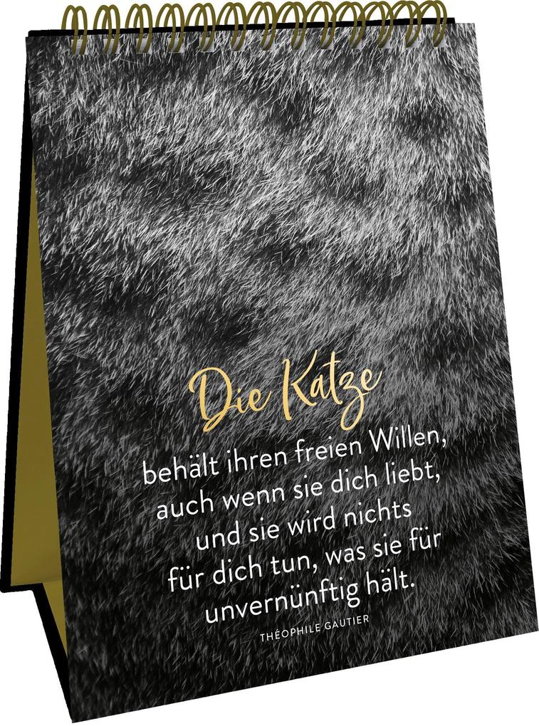 Weitere Ansicht: Goldene Katzenweisheiten